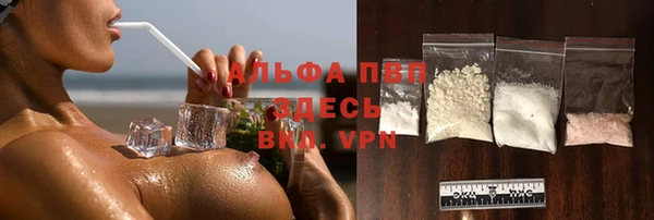 тгк Инта