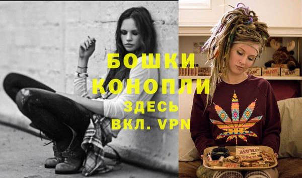 тгк Инта