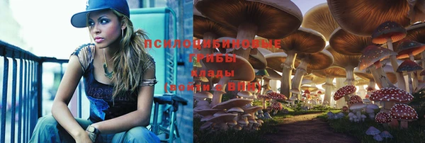 герыч Инсар